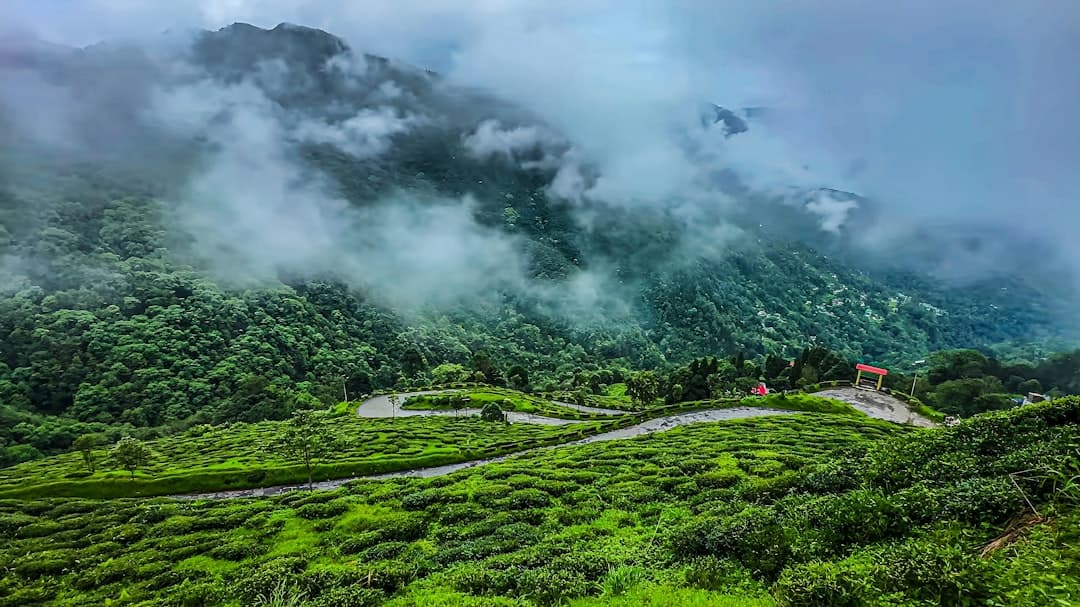Outstation cab service in North India — Sairgah verified drivers